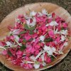 Flower plate is kept full for each participant